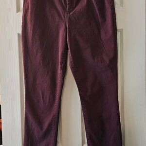 Bandolino Women's Straight Leg Pants - Deep Purple